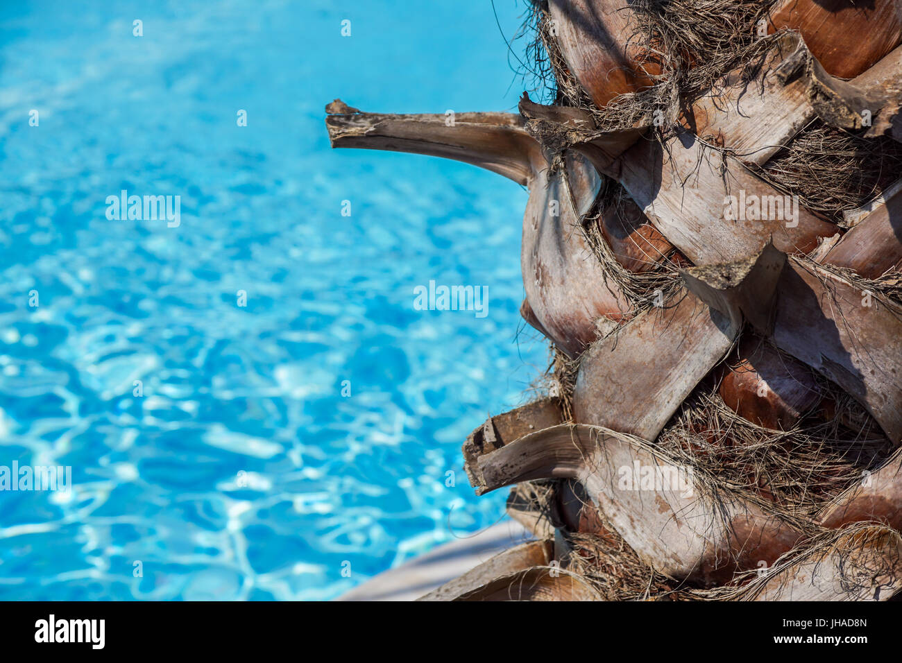 Vicino la piscina esterna con acqua pulita e chiara Foto Stock
