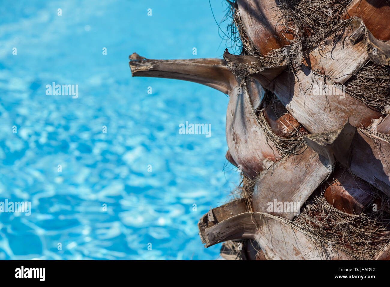 Vicino la piscina esterna con acqua pulita e chiara Foto Stock