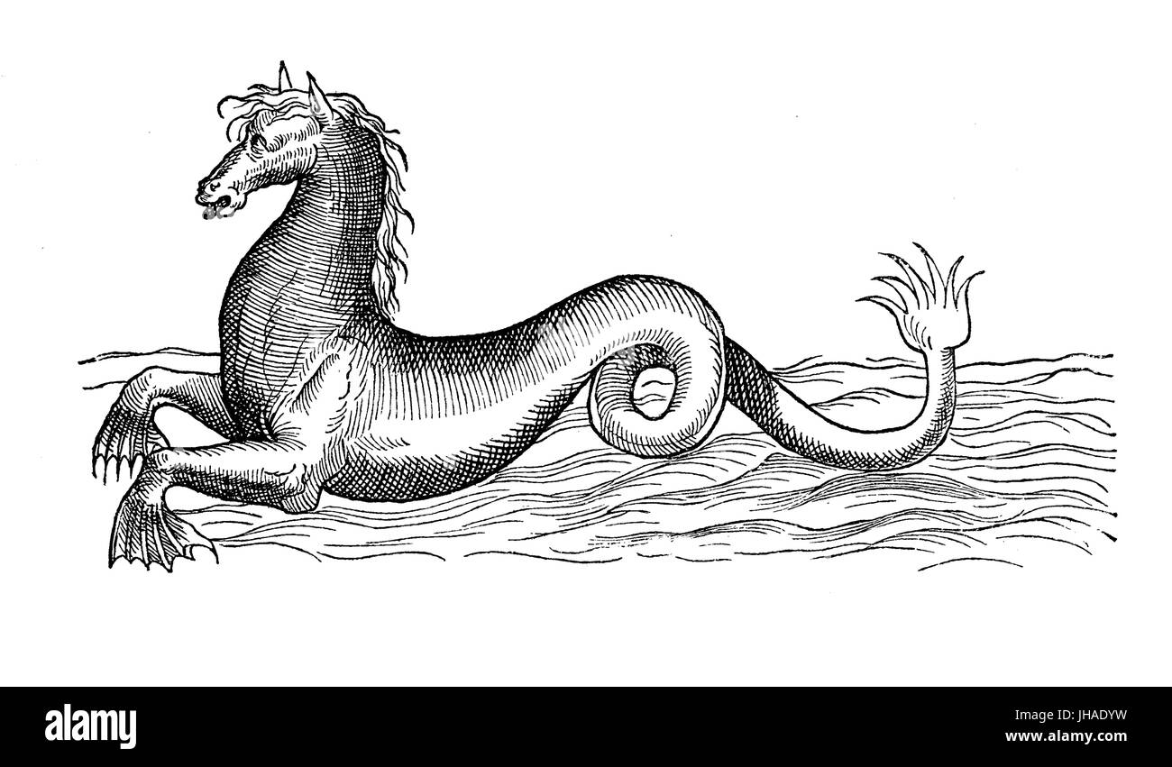 Sea Horse, mitologica creatura marina, anno 1580, incisione vintage Foto Stock