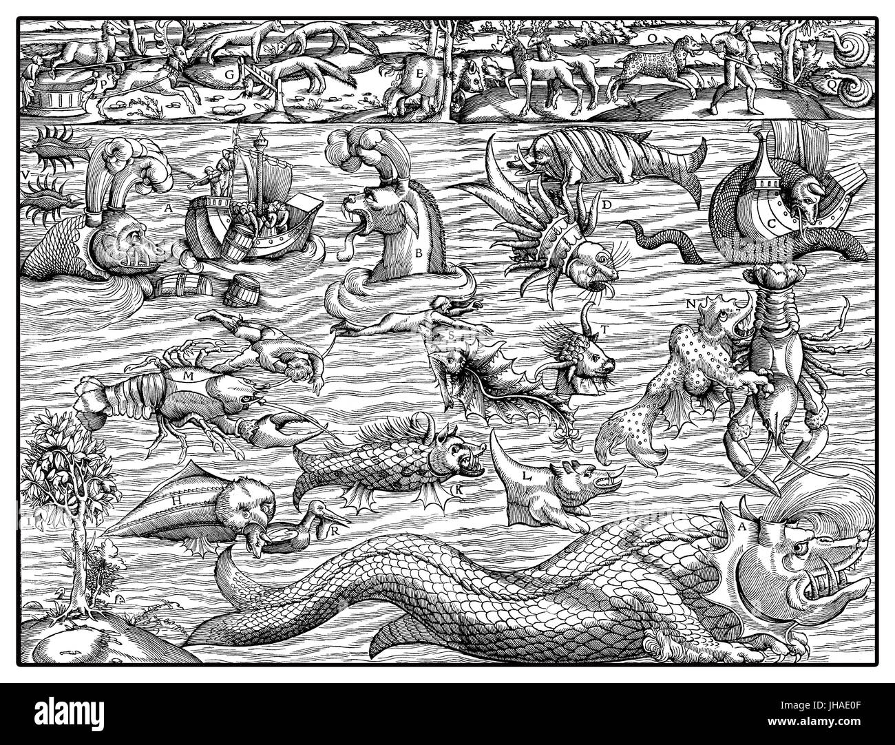Oceano con mostro marino e gli animali sulla terra, fantastica incisione medievale, anno 1550 Foto Stock