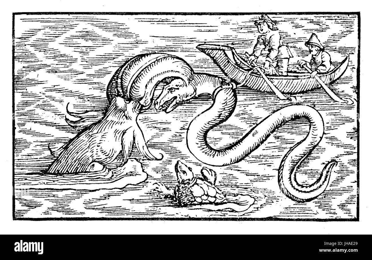 Mostri marini, Serpente Marino e sputtering whale combattimenti, incisione medievale, anno 1598 Foto Stock