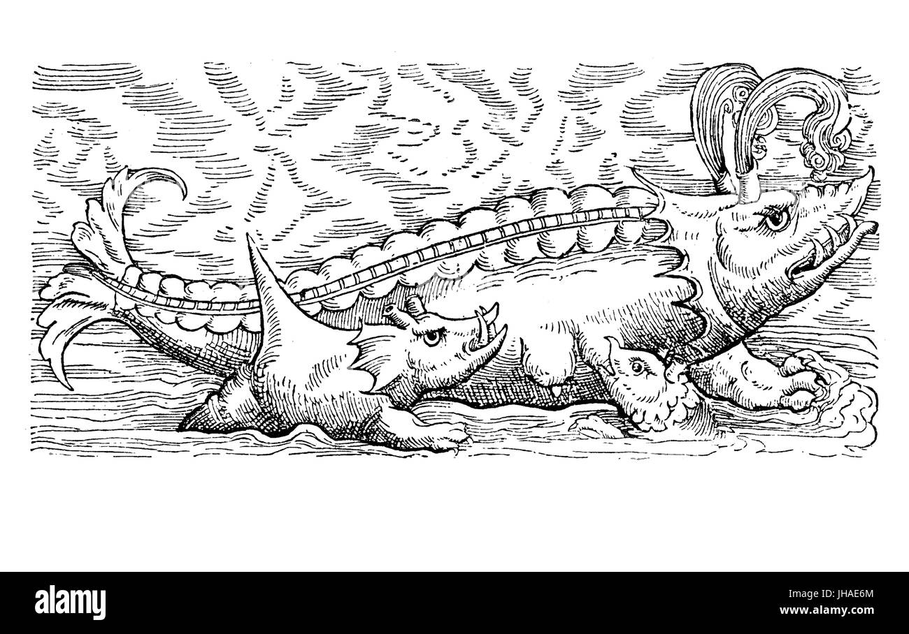 Mare mostro: sputtering whale combatte wahle bump e porco di mare, incisione medievale 1598 Foto Stock
