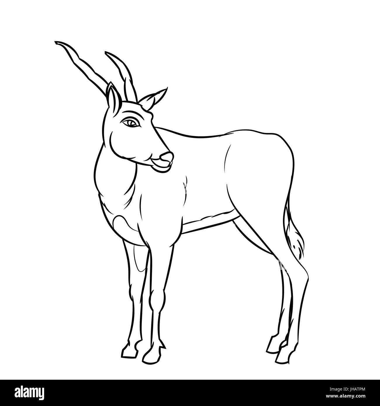 Mano bozzetto di Impala Deer Cartoon isolato, in bianco e nero del fumetto illustrazione vettoriale per libro da colorare - Linea tracciata vettore Illustrazione Vettoriale