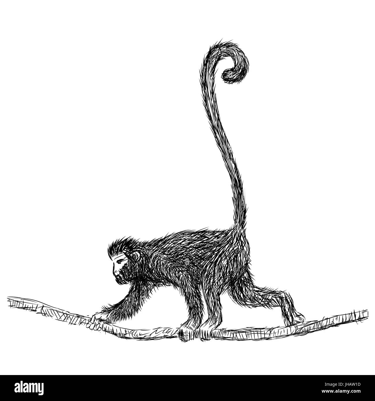 Mano bozzetto di gibbone Cartoon isolato, in bianco e nero del fumetto illustrazione vettoriale per libro da colorare - Linea tracciata vettore Illustrazione Vettoriale
