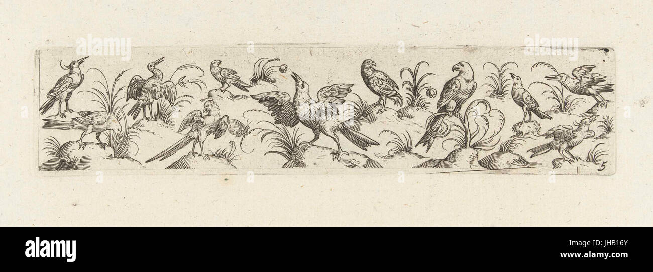 Fries incontrato elf vogels en een insetto Foto Stock