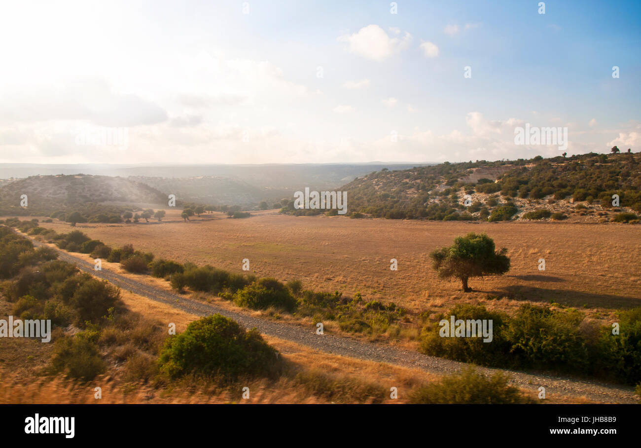 Campo con alberi e colline durante il tramonto a Cipro Foto Stock