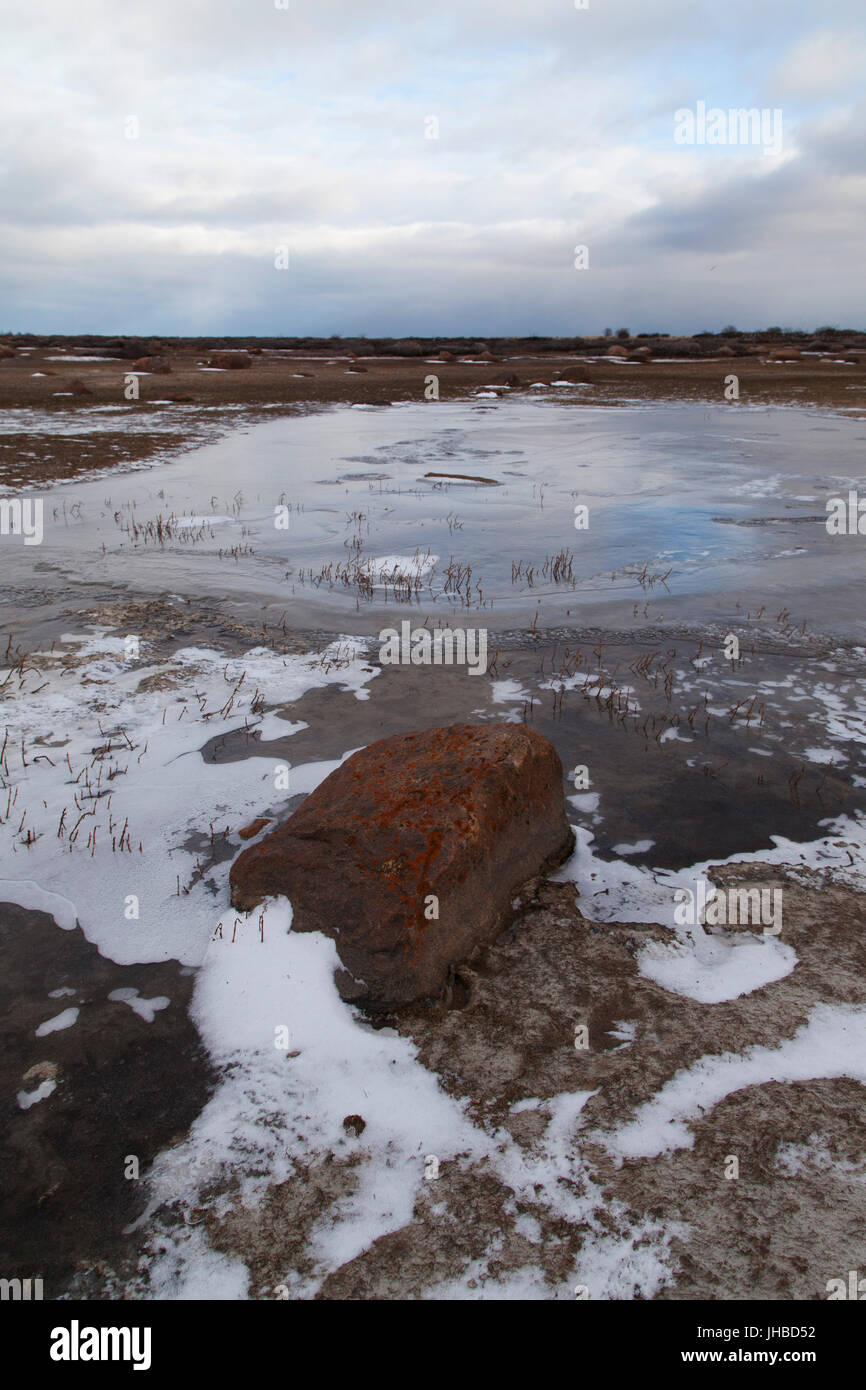 Roccia sulla riva congelati della Baia di Hudson in Manitoba, Canada. La baia si blocca ogni autunno. Foto Stock