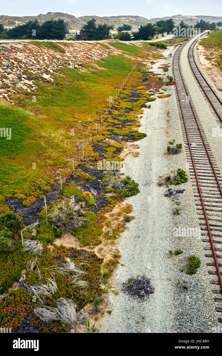 Abbandonato i binari della ferrovia lungo la Pacific area costiera che conduce all'orizzonte Foto Stock