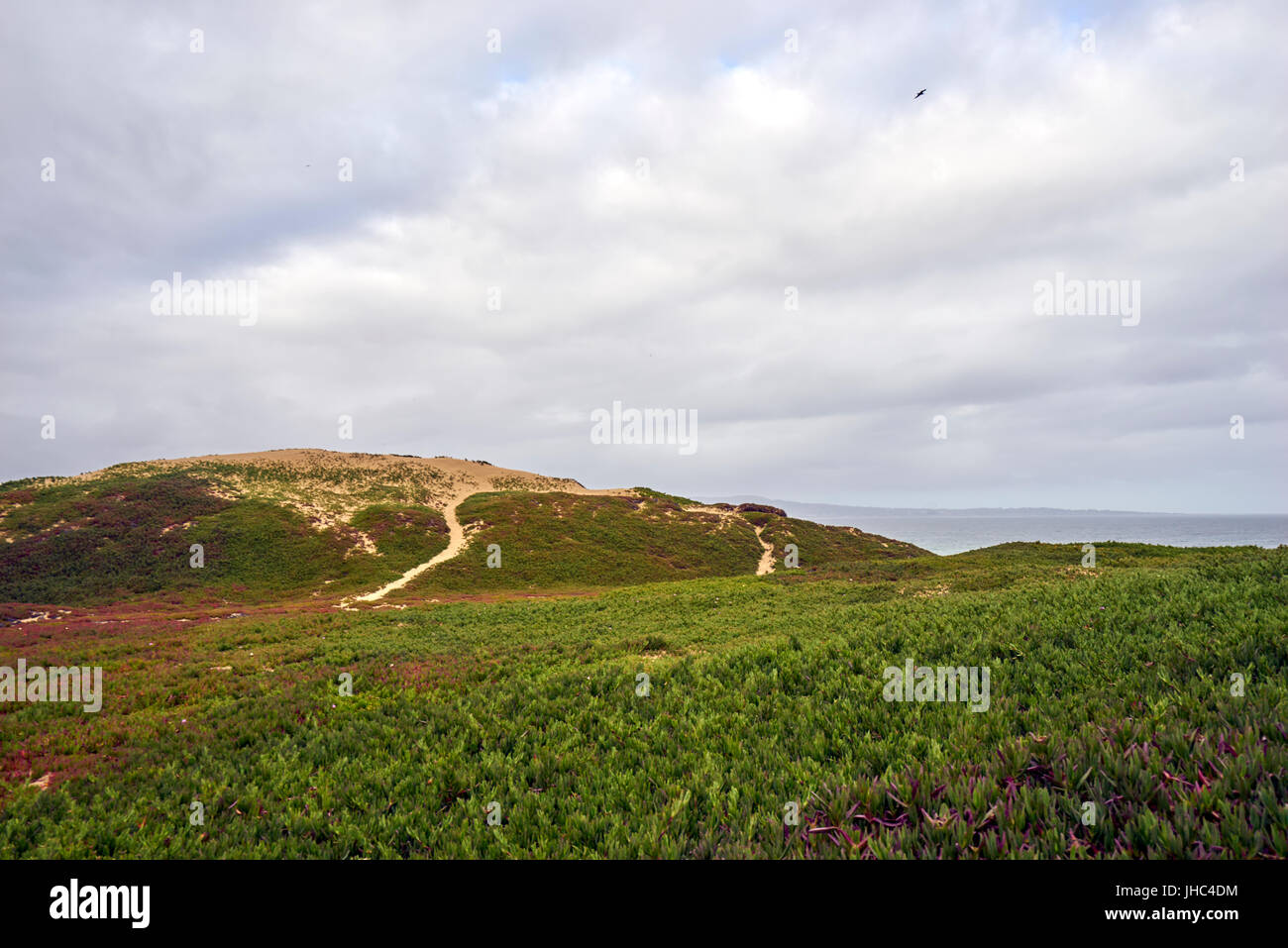 Due escursioni sentieri oltre le dune e attraverso la spazzola verso l'oceano pacifico Foto Stock