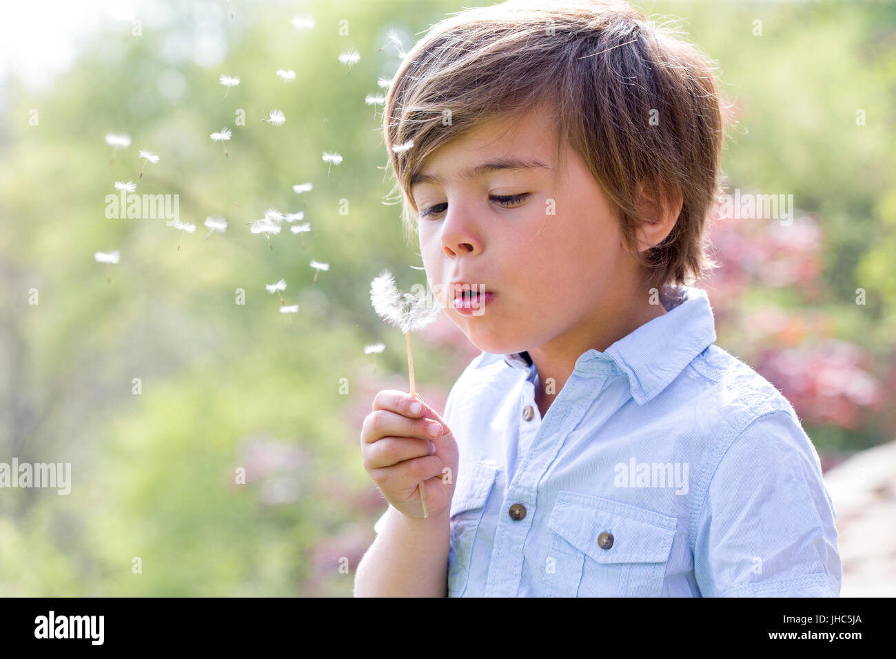 Immagine ravvicinata di un ragazzino di soffiaggio semi di tarassaco lontano con gli occhi chiusi. Foto Stock
