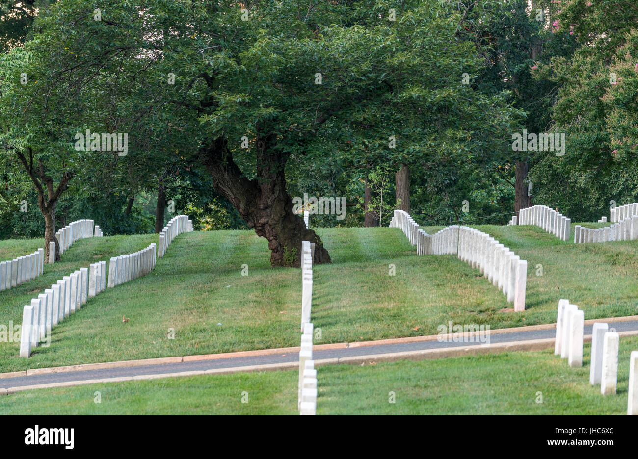 File di marcatori di pietre tombali nel Cimitero di Arlington Foto Stock
