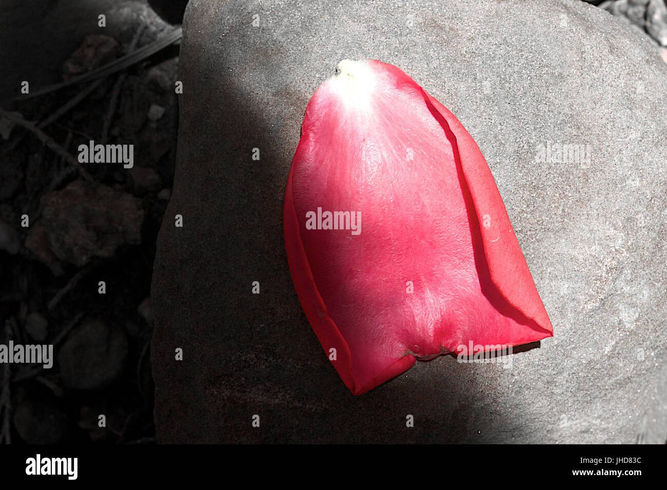 2015-365-150 tenebre Approacheth (17670072514) Foto Stock