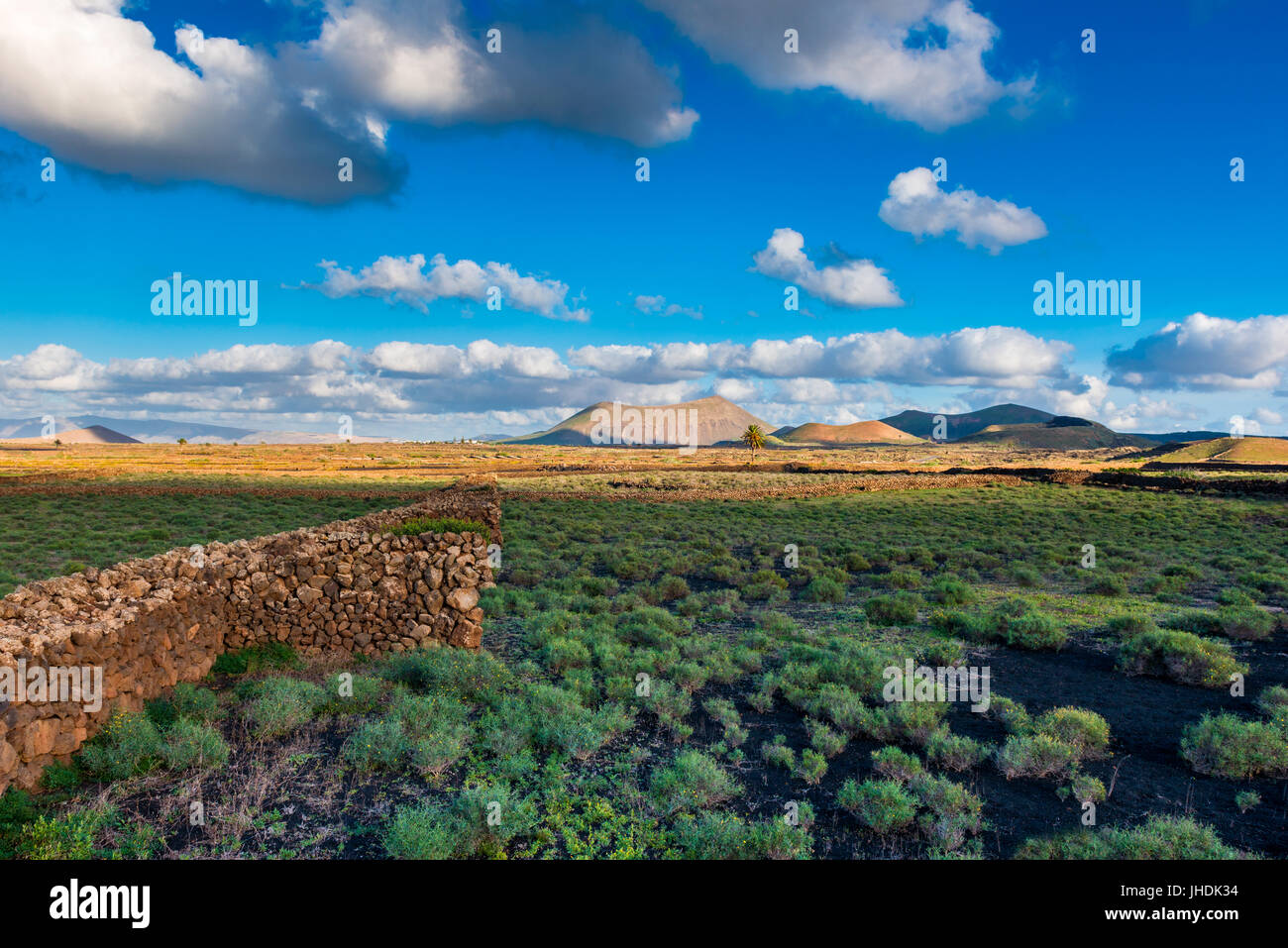 Paesaggio vulcanico a Lanzarote, Isole Canarie, Spagna intorno al tramonto Foto Stock