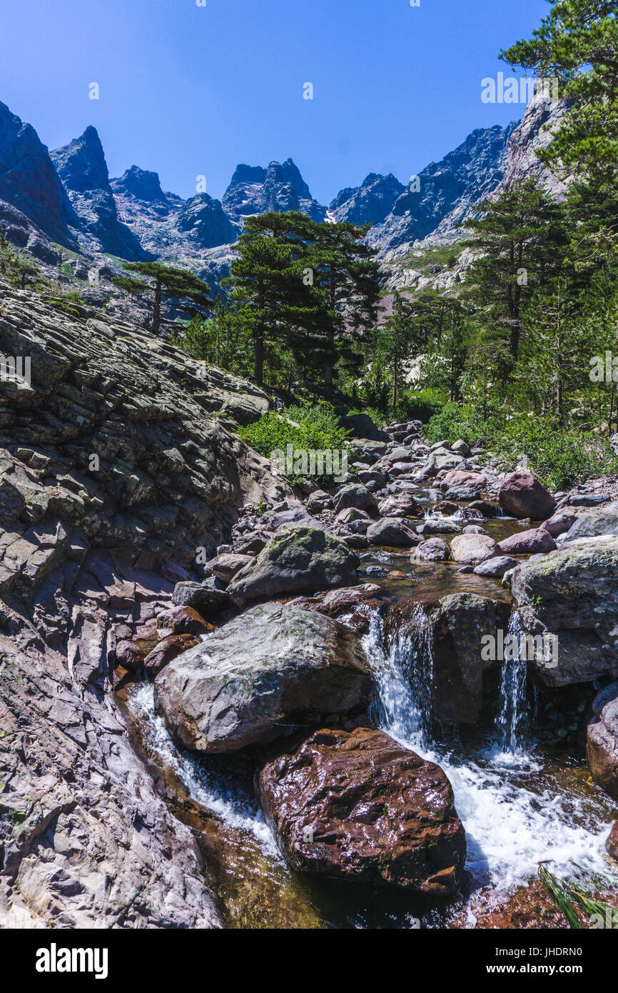 Il fiume selvaggio in esecuzione in Corsica sulla GR20 mountain trail route. Wild rinfrescante piscine, da neve e scioglimento dei ghiacciai in estate. Foto Stock