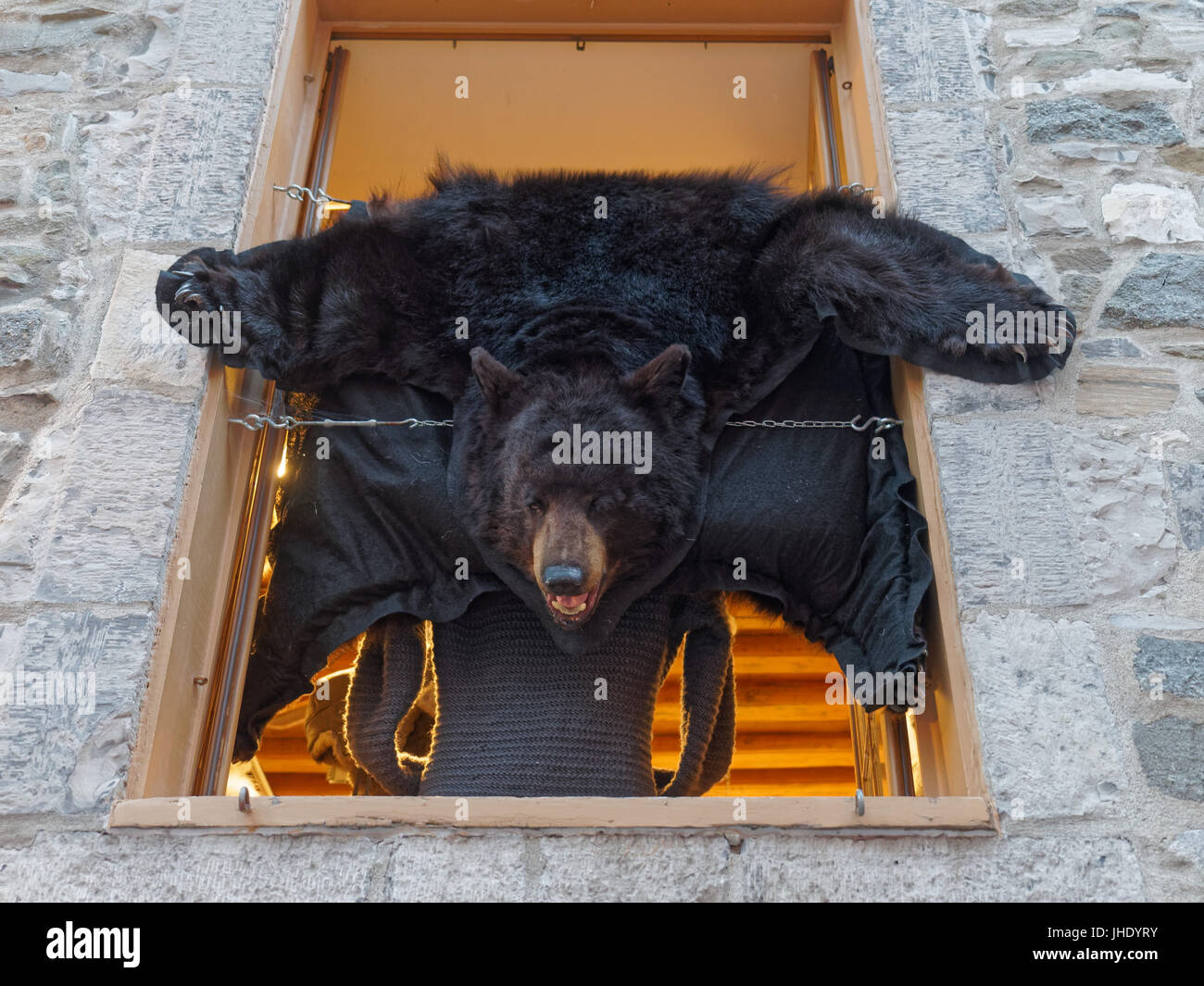 Un tappeto di pelle di orso Foto stock - Alamy