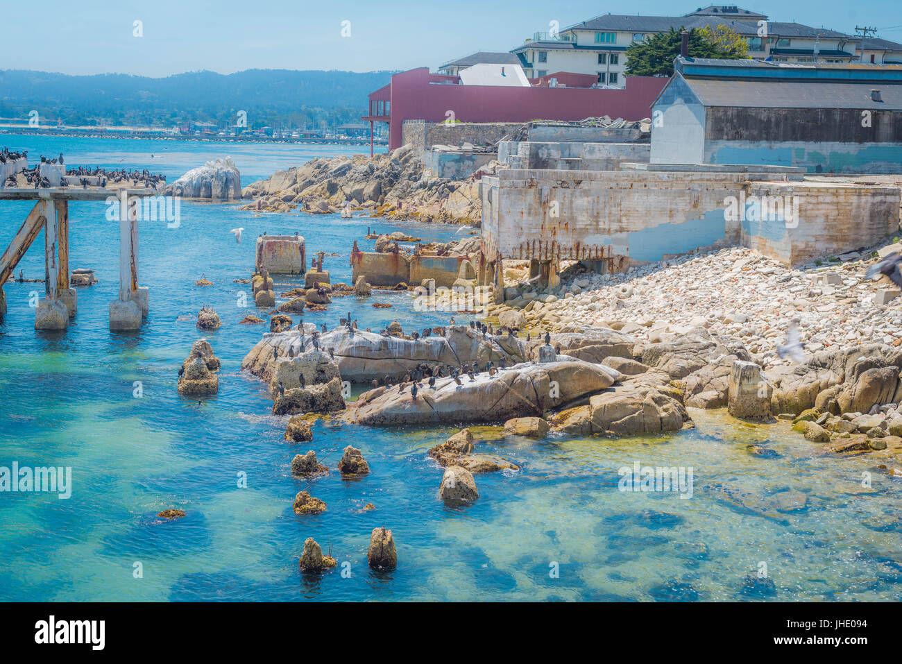 Il sito di un certo numero di oggi defunta sardina fabbriche di inscatolamento, Cannery Row è il waterfront street. Foto Stock