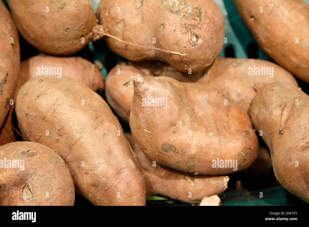 Freschi patate dolci Foto Stock