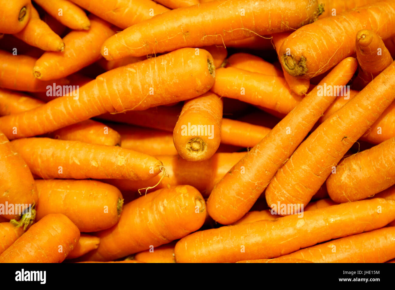 carote fresche Foto Stock