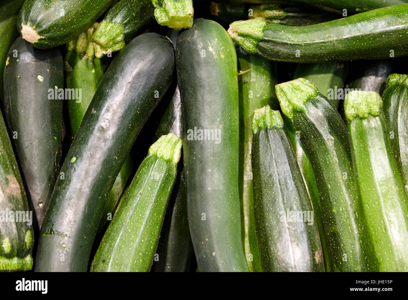 Le zucchine fresche o anche conosciuto come le zucchine Foto Stock