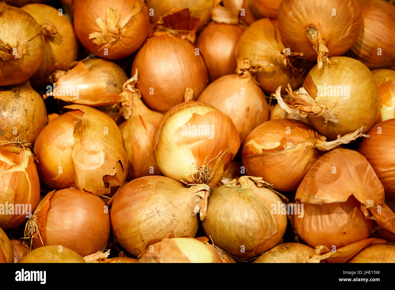 Giallo fresco spagnolo cipolle Foto Stock