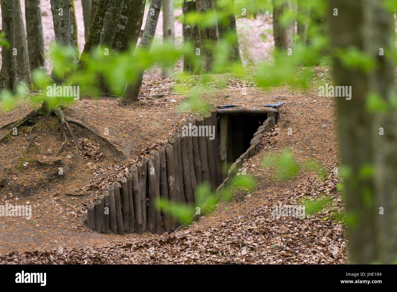 Convertito ingresso al bunker di Pomerania Griffin (Gryf Pomorski) polacco anti-nazista il gruppo di resistenza nella foresta in Mirachowo, Polonia. 20 maggio 2017 © Wojc Foto Stock