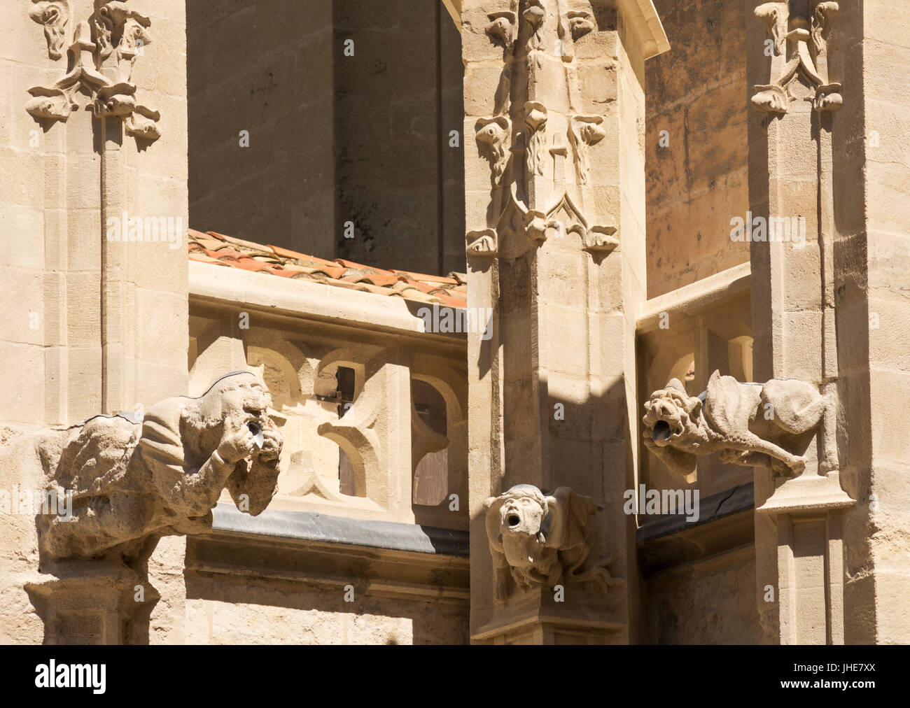 Doccioni sulla cattedrale di Narbonne, Occitanie, Francia Foto Stock