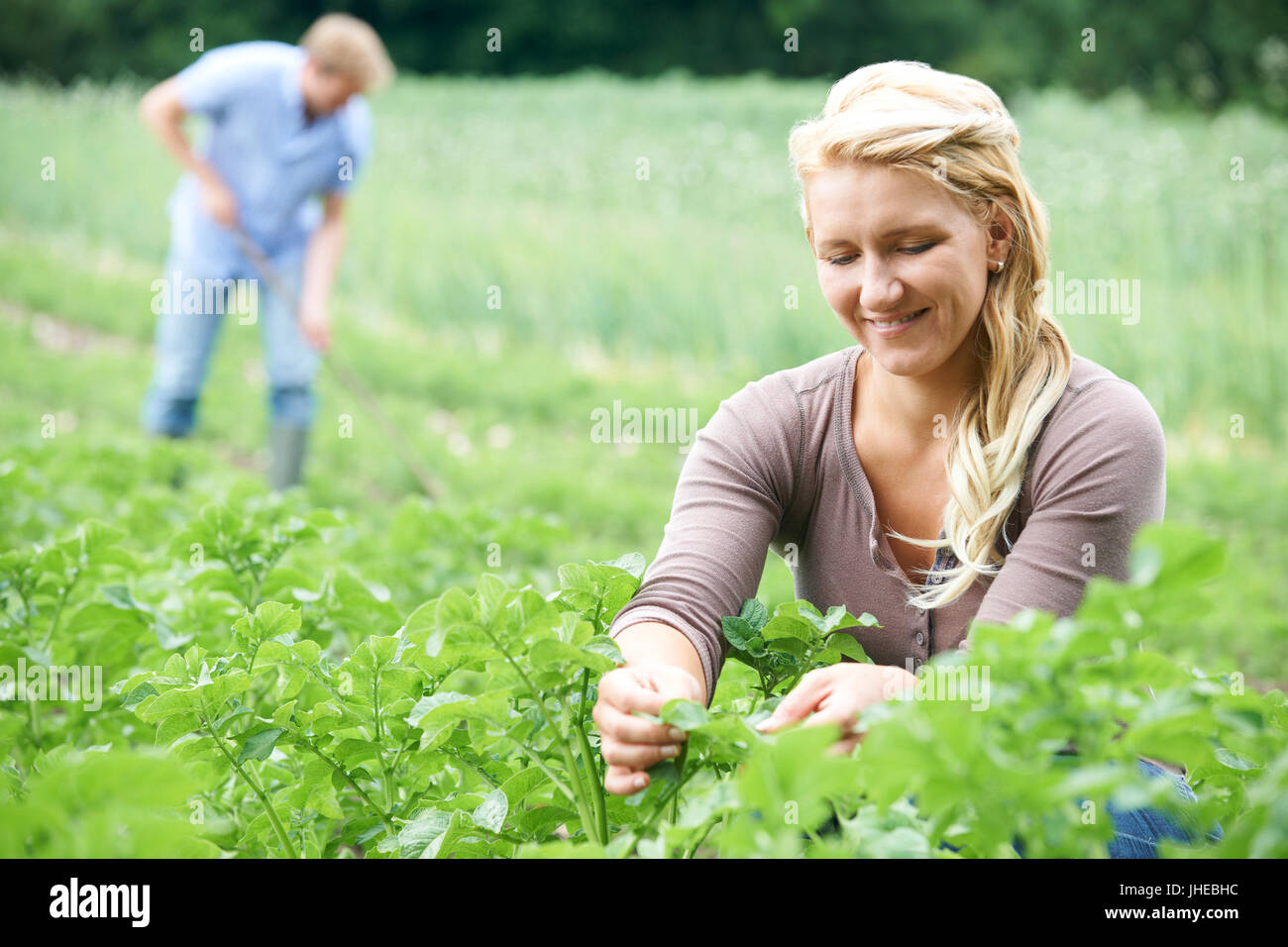 Giovane lavorando nel campo in azienda agricola biologica Foto Stock