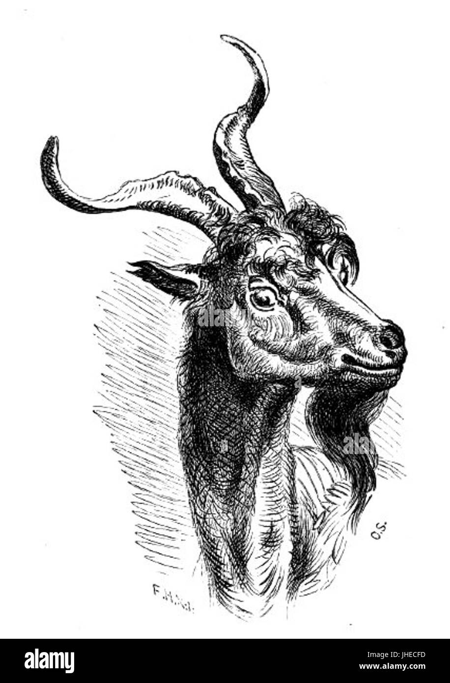 Norske folke- og huldre-eventyr - De tre bukkerne Bruse Foto Stock