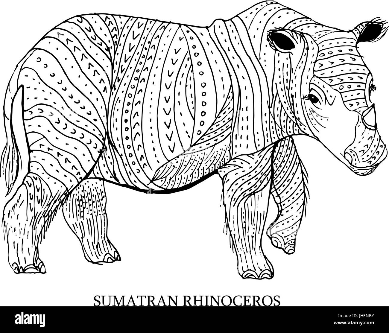 Rinoceronte di Sumatra. Animali rari, stato di conservazione. Illustrazione Vettoriale Illustrazione Vettoriale