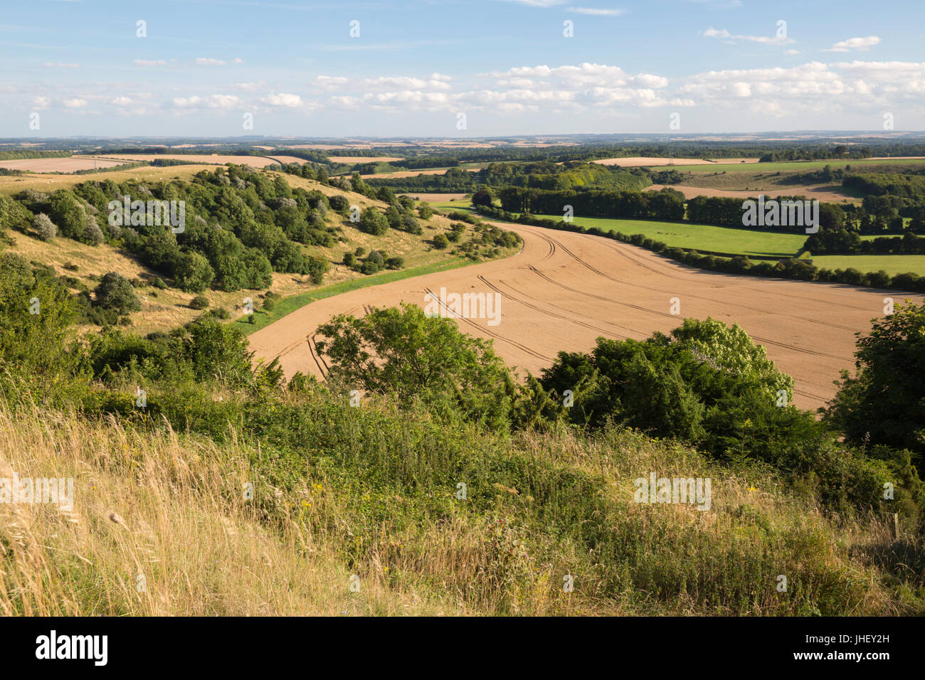 Vista su estate campi di grano dalla parte superiore di Beacon Hill, vicino a Highclere, Hampshire, Inghilterra, Regno Unito, Europa Foto Stock