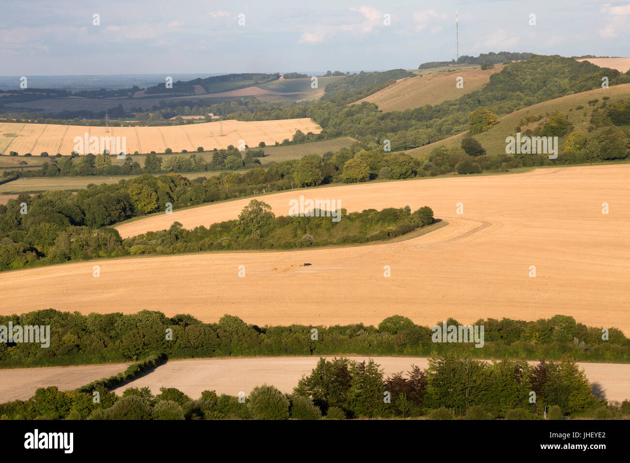 Vista Hannington Hill e Watership Down da Beacon Hill con estate campi di grano, North Wessex Downs AONB, vicino a Highclere, Hampshire, Inghilterra, uni Foto Stock