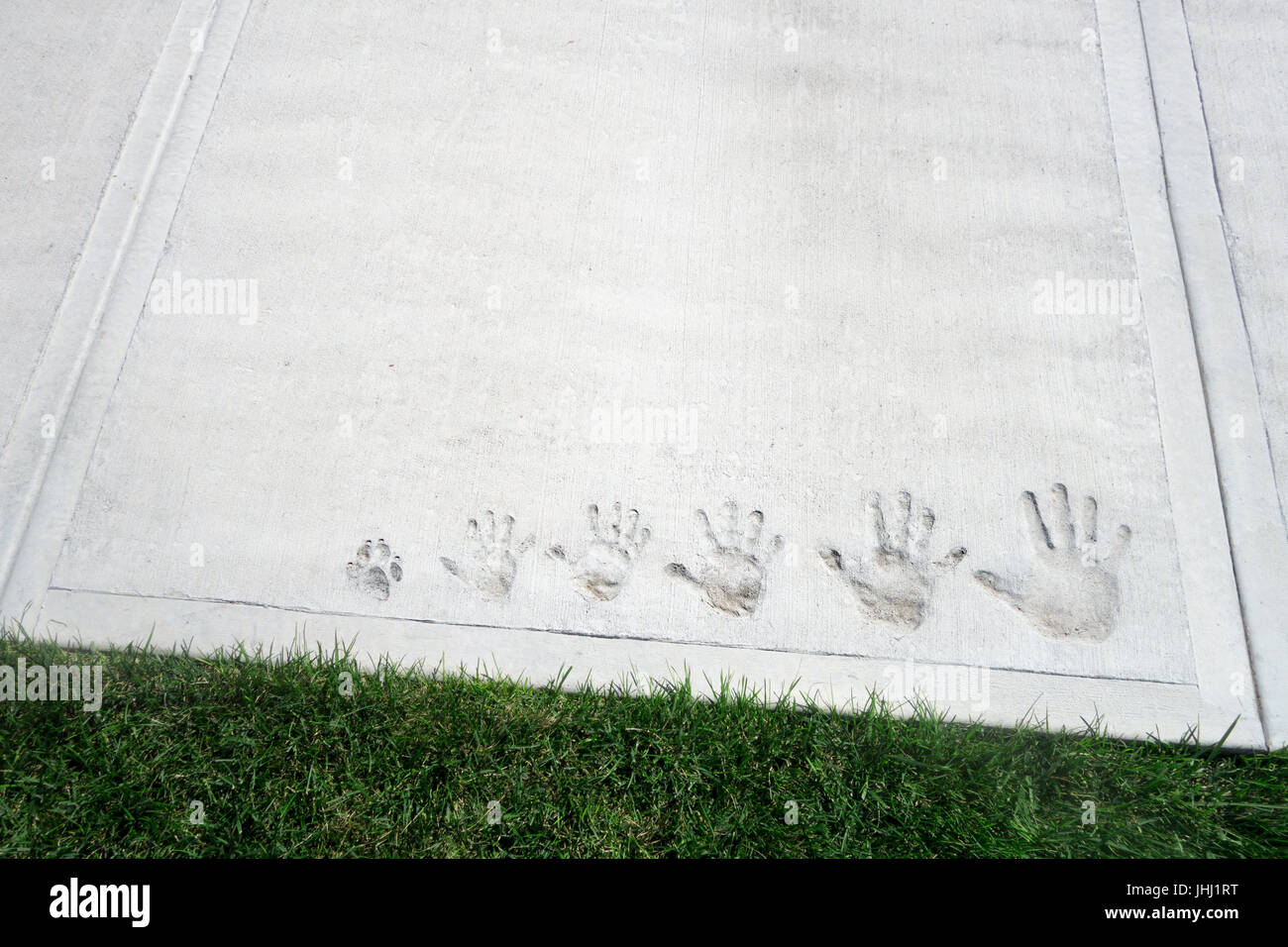 La foto di famiglia del hand prints compresi pet cane sul bagnato ora di cemento indurito Foto Stock