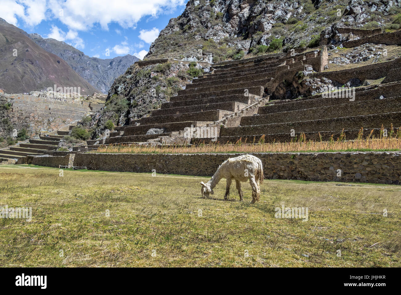 Ollantaytambo rovine Inca e terrazze - Ollantaytambo, Valle Sacra, Perù Foto Stock