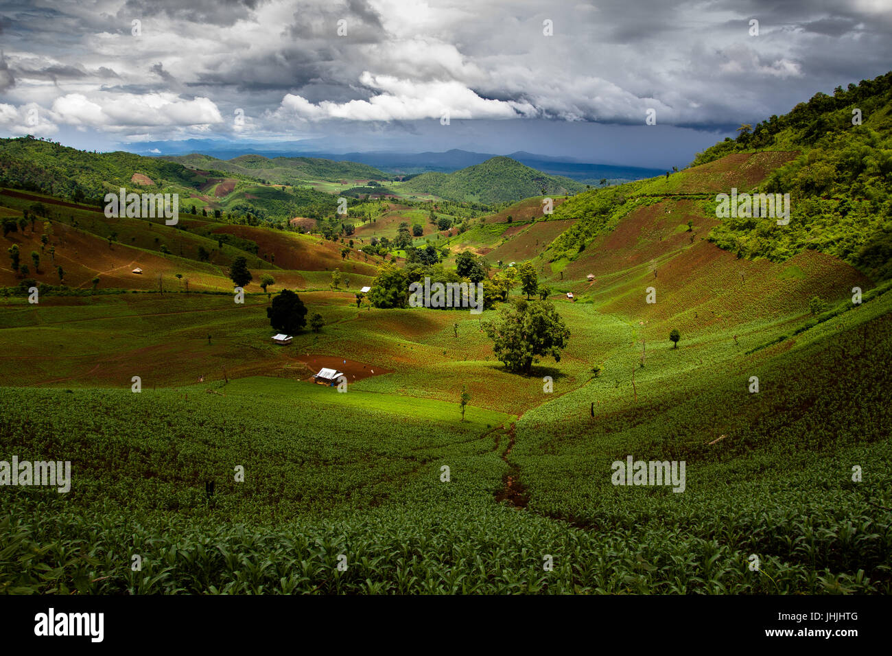 Terreni agricoli visto mentre trkking attraverso lo stato di shan, myanmar Foto Stock