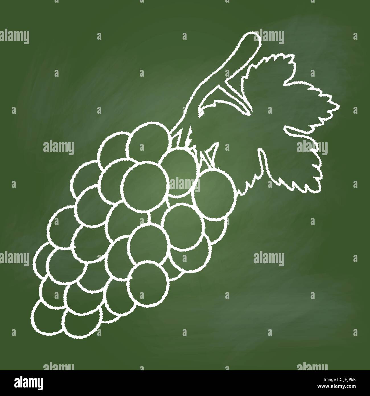 Disegno a mano dell'uva sulla trama scheda verde. Il concetto di istruzione, illustrazione vettoriale Illustrazione Vettoriale