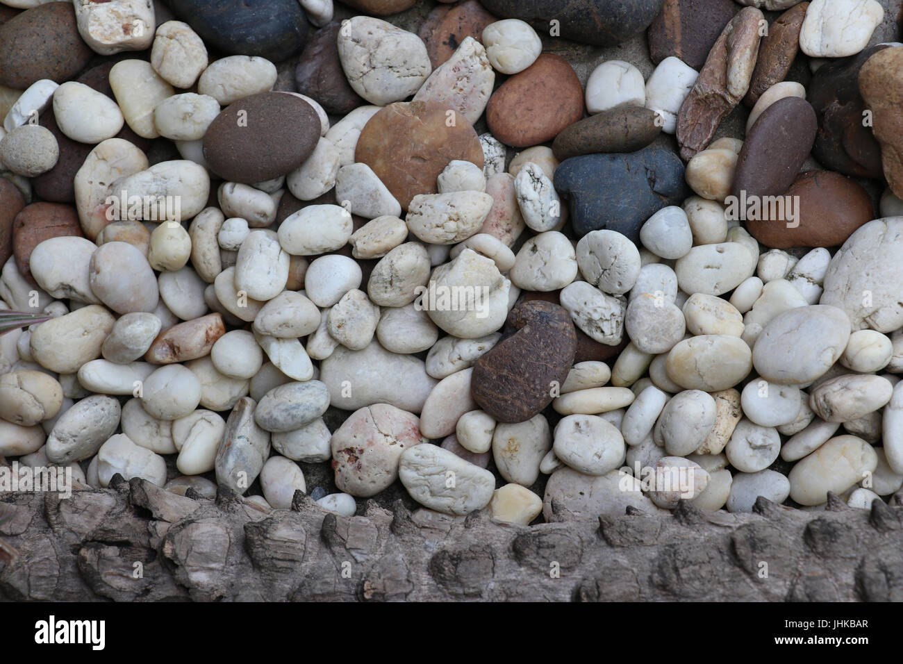 La pietra,focus al round sassi o pietre di colore molti,molte dimensioni della pietra rotonda scatter in giardino Foto Stock