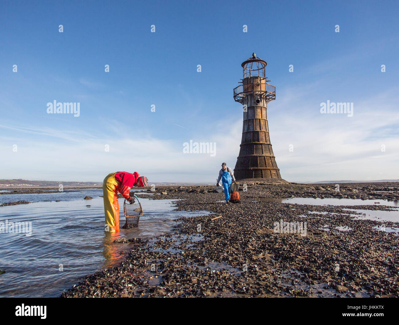 Il Cockle raccoglitori in Gower Foto Stock