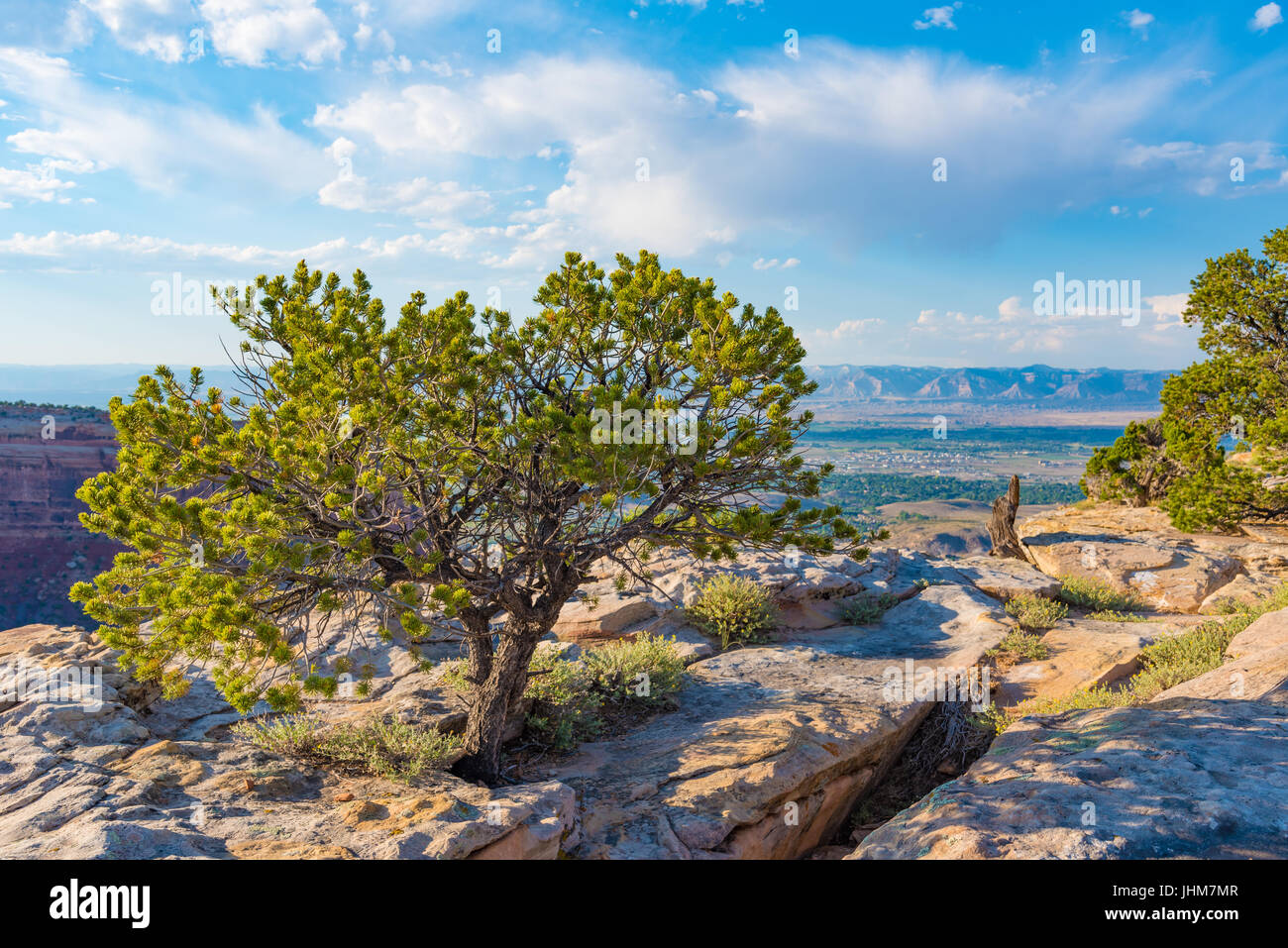 Si affacciano del Colorado National Monument vicino a Grand Junction, Colorado Foto Stock