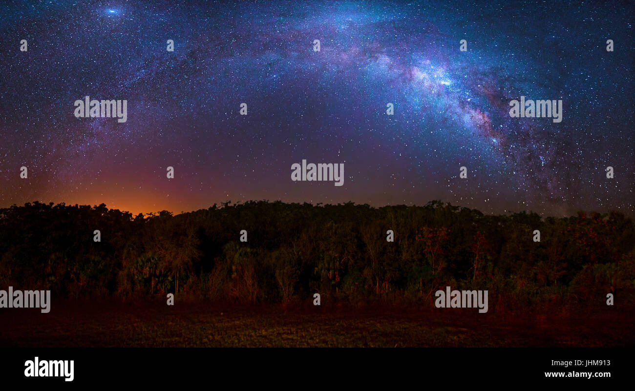 Il bel cielo scuro in Everglades National Park per rendere splendida la visualizzazione della Via Lattea e altri eventi celesti. Foto Stock