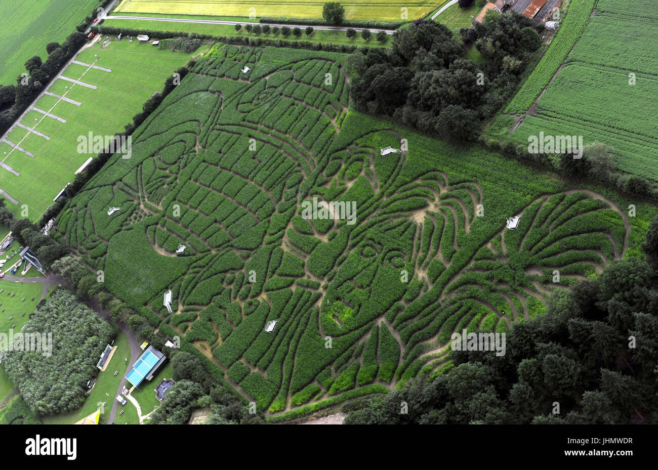 Una veduta aerea di ciò che si ritiene essere la più grande del mondo Star Wars fan art, un labirinto gigante tagliata da un agricoltore Tom Pearcy dai suoi 18 acri di campo di piante di mais vicino a York in occasione del quarantesimo anniversario di Star Wars. Foto Stock