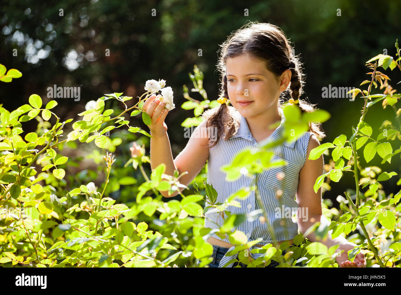 Innocente ragazza con i capelli intrecciati guardando i fiori bianchi nel cortile sulla giornata di sole Foto Stock