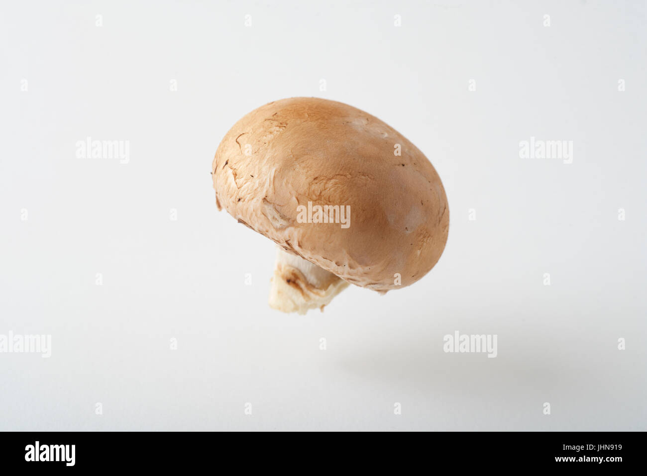 Un funghi cremini come produrre fotografato in un studio, sospesa al di sopra di un bianco, sfondo senza giunture. Foto Stock