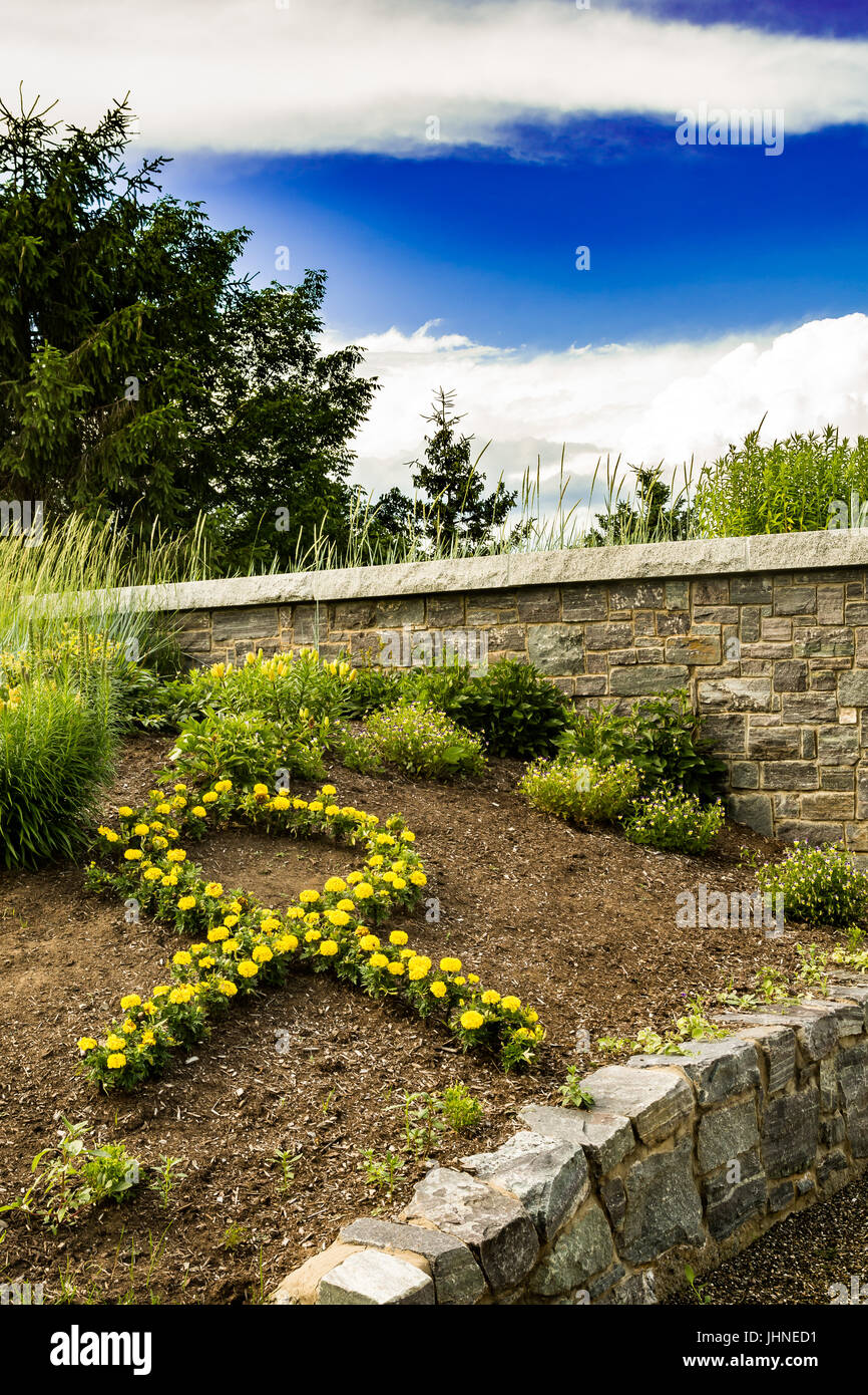 Nastro giallo dei fiori Foto Stock