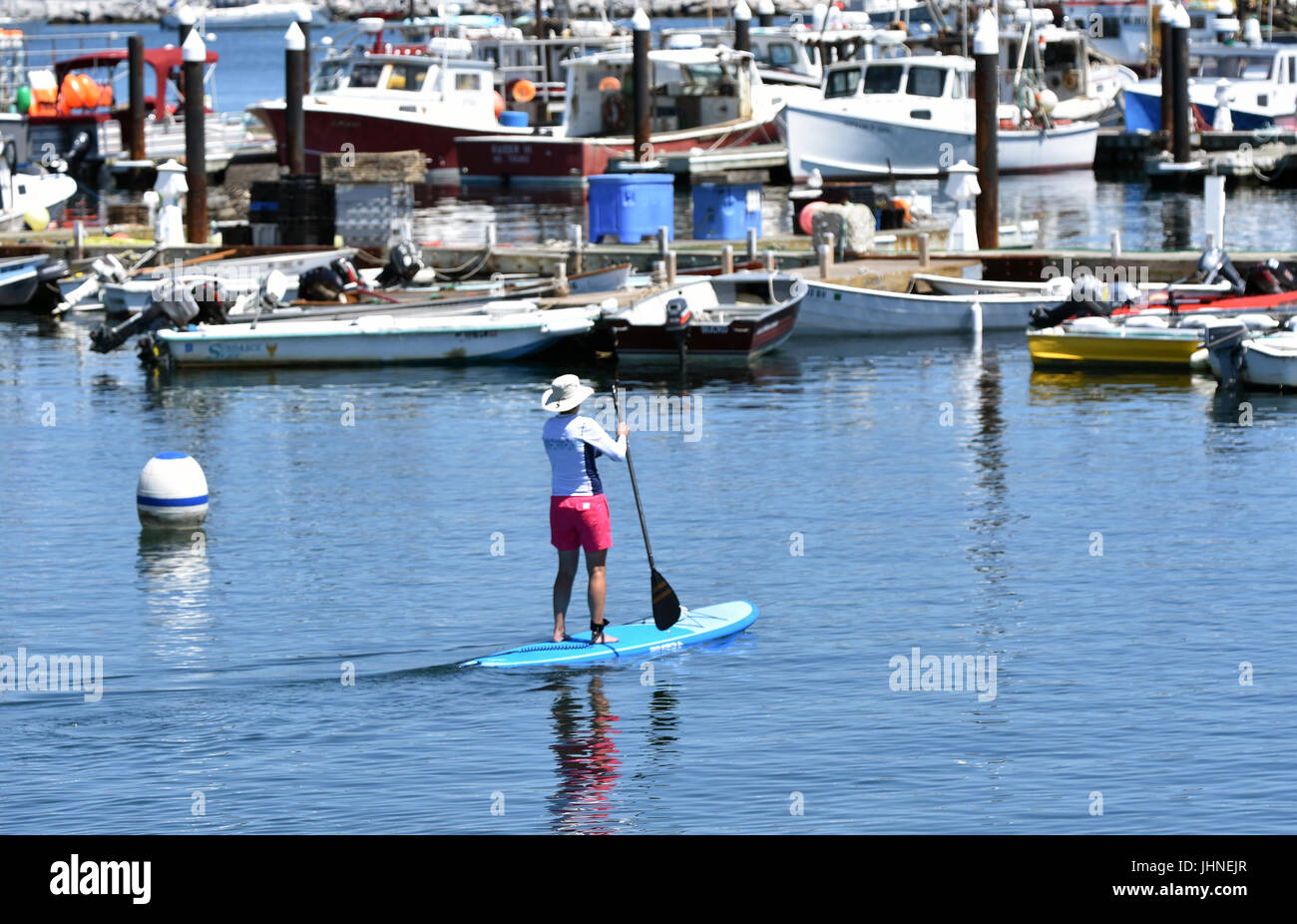 In Paddleboarding a Provincetown, Massachusetts porto. Foto Stock