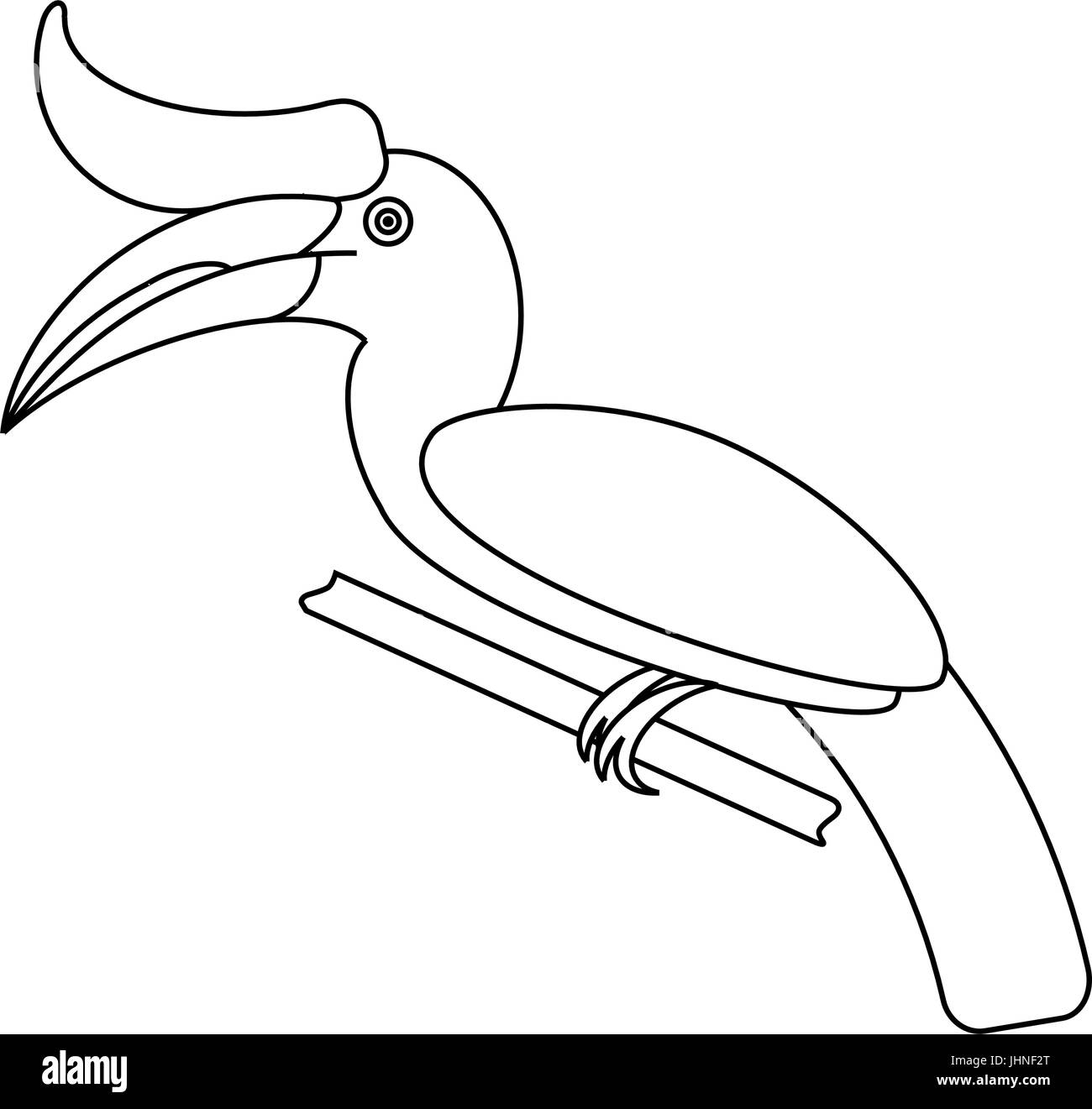Hornbill bird. Vector cartoon uccello tropicale realizzata in piatto di stile di contorno. Isolato su sfondo bianco. Illustrazione Vettoriale