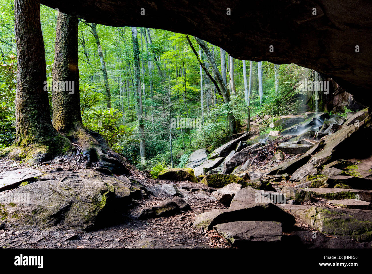 Slick Rock Falls - Pisgah National Forest - nei pressi di Brevard, North Carolina, STATI UNITI D'AMERICA Foto Stock