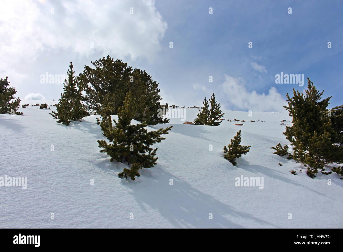 Coperte di neve pendio di montagna di Pike picco in maggio in Pike National Forest, Colorado, STATI UNITI D'AMERICA Foto Stock