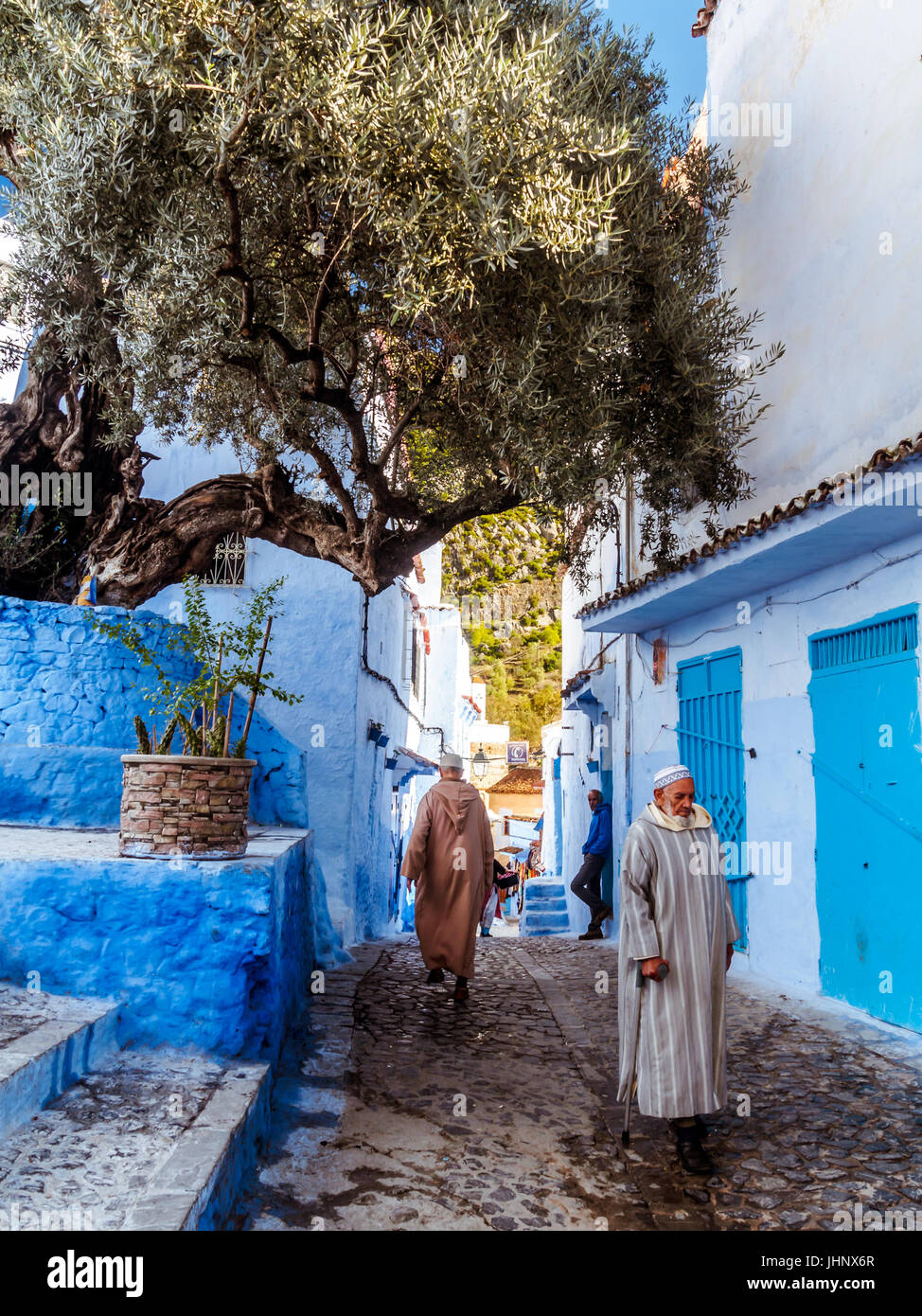 Chefchaouen, Marocco, 7 Gennaio 2016 : popolo marocchino sotto l albero di olivo nella medina di Chefchaouen, Nord del Marocco. Foto Stock