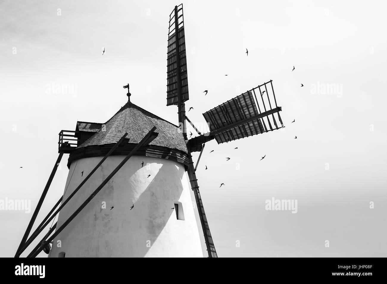 Austrias ultimo completamente functionall windmill nei vigneti. Foto Stock