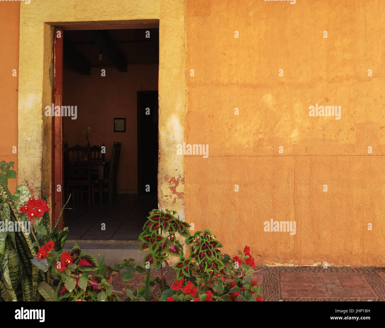 La porta esterna, parete colorata, El tuito, Jalisco, Messico Foto Stock